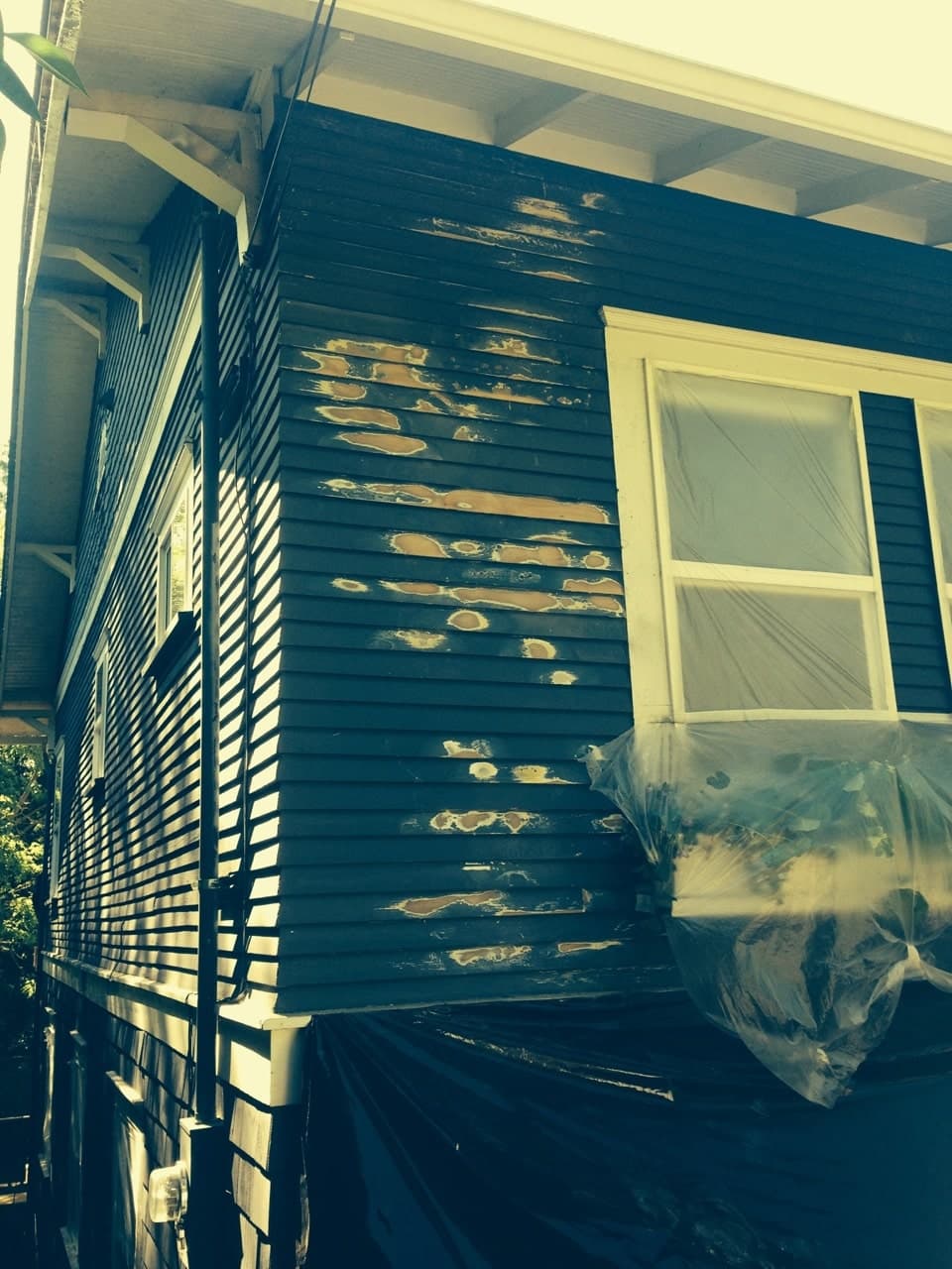 Lead-Based Paint in Your Home