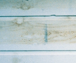 A photo of siding that has tannin stains/bleed